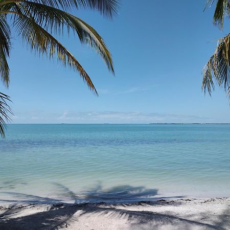 Freedom Shores "La Gringa" Hotel - Universally Designed Isla Aguada エクステリア 写真