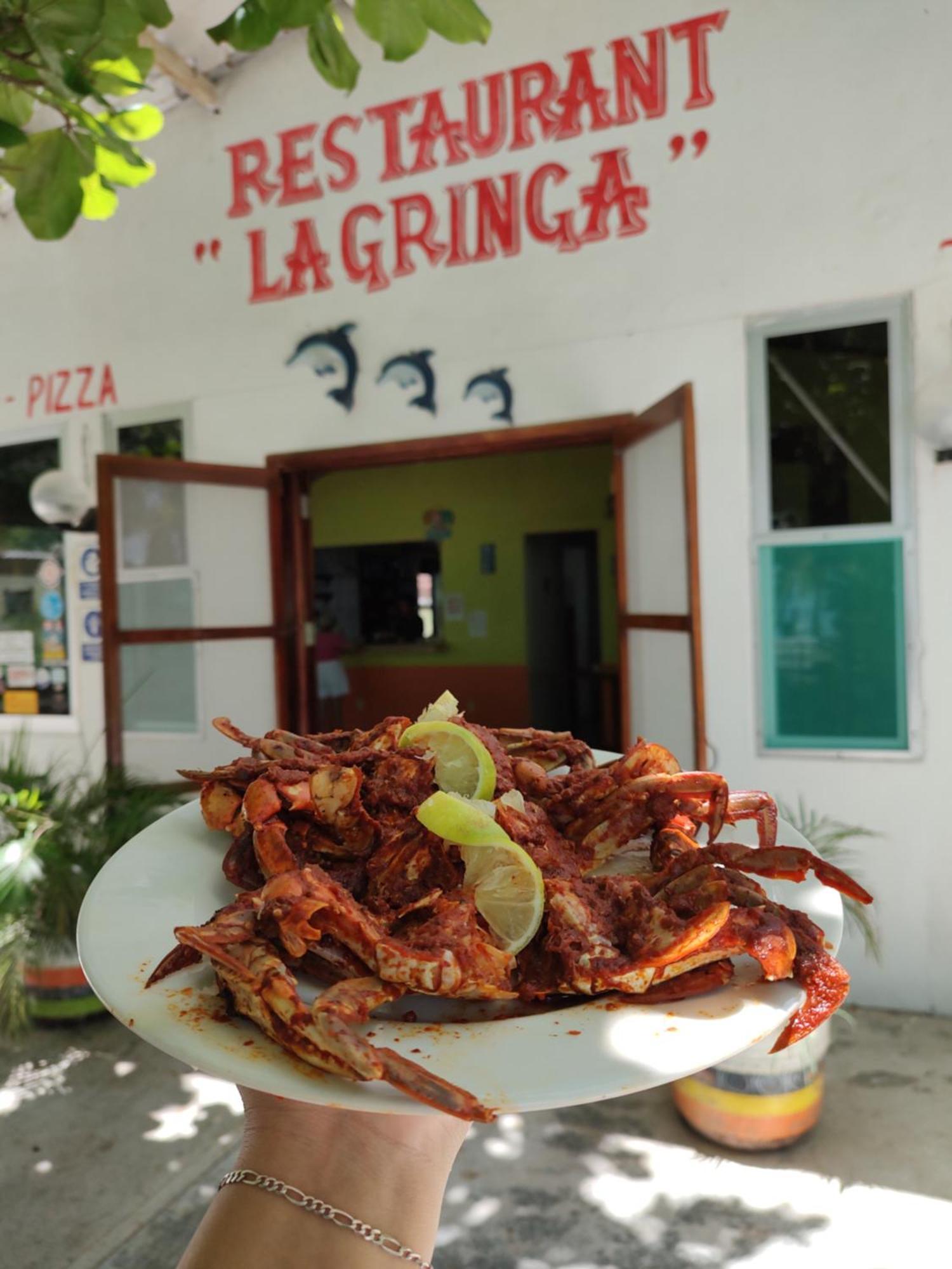 Freedom Shores "La Gringa" Hotel - Universally Designed Isla Aguada エクステリア 写真